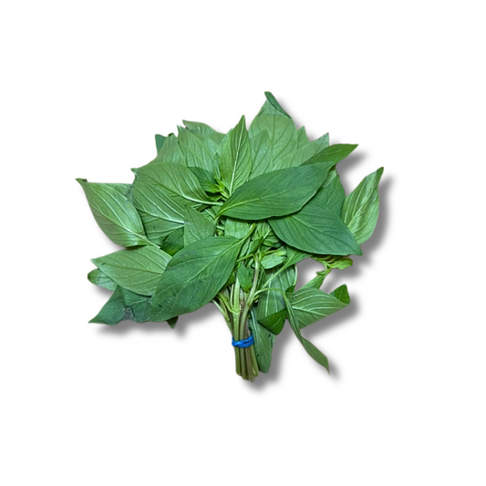 Basilic thaï