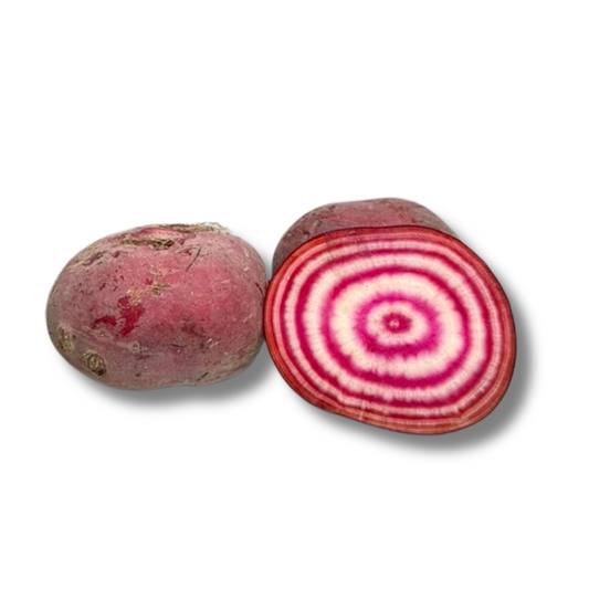 Betterave Chioggia