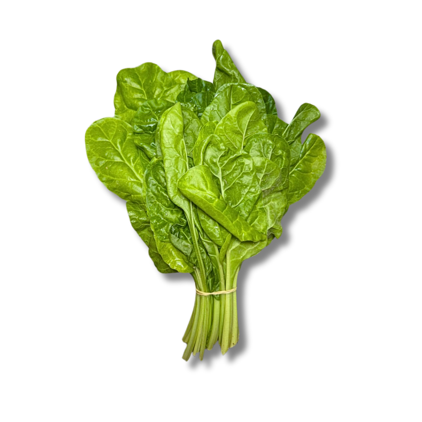 Blette épinard (botte)