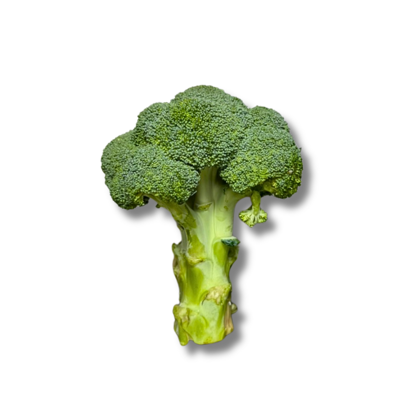 Brocoli