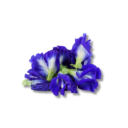 Thé butterfly pea (30g)