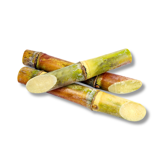 Canne à sucre (pièce)