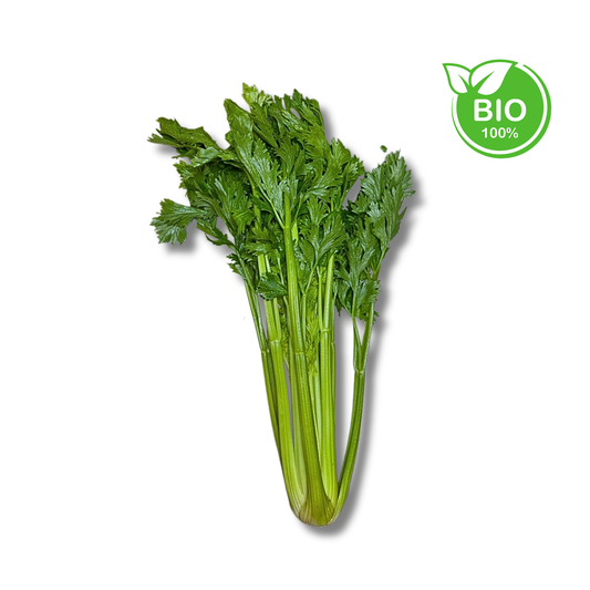 Céleri branche bio (pièce)