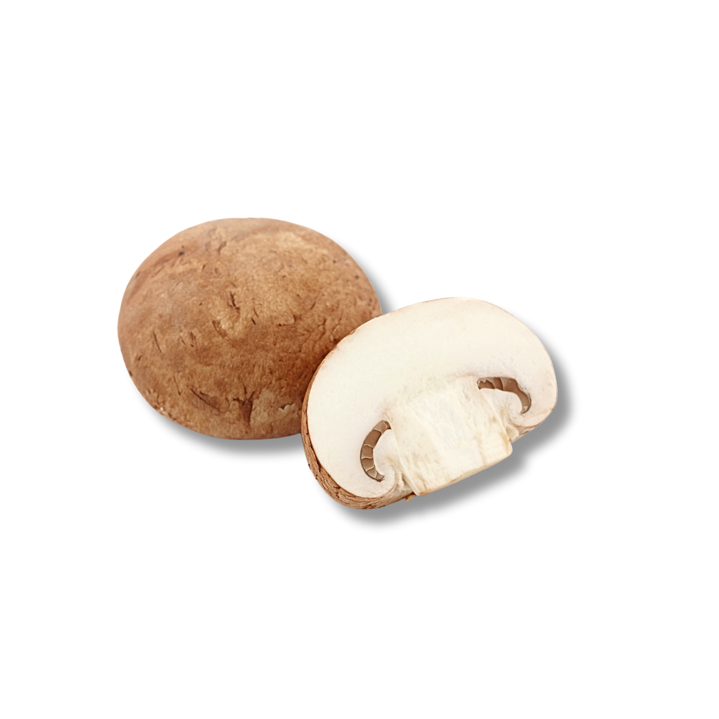 Champignon crème (100 g)