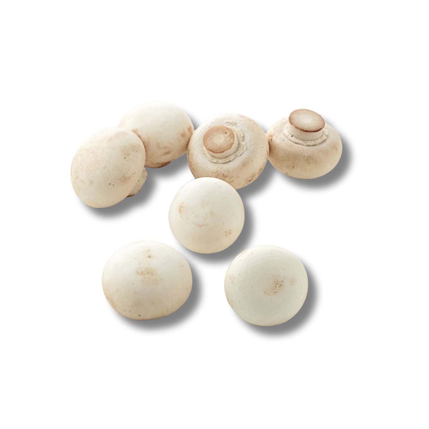 Champignon de Paris bouton (250g)