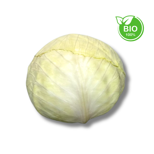 Chou blanc bio (pièce)