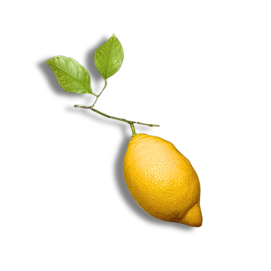 Citron feuille