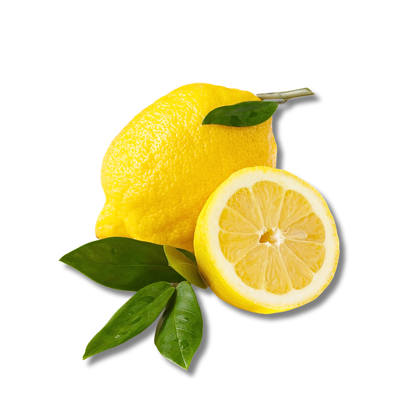 Citron feuille Corse (500g)