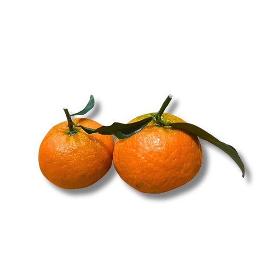 Clémentine feuille Corse (500g)