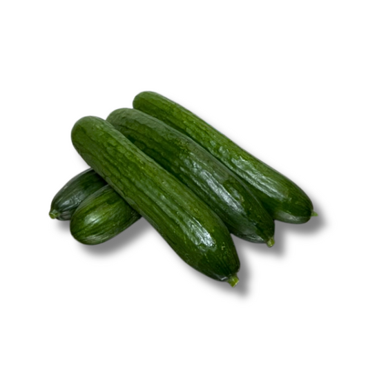 Concombre libanais