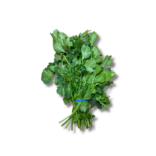 Coriandre