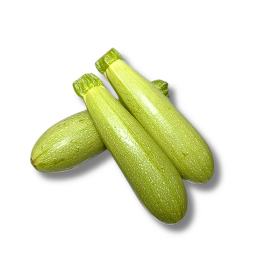 Courgette blanche