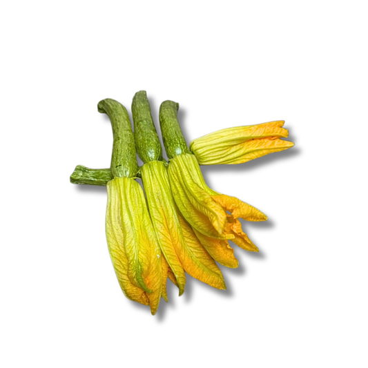 Courgette fleur bio