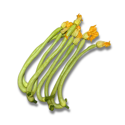 Courgette violon