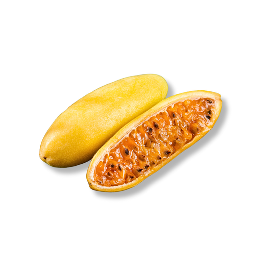 Curuba / Passion banane (pièce)