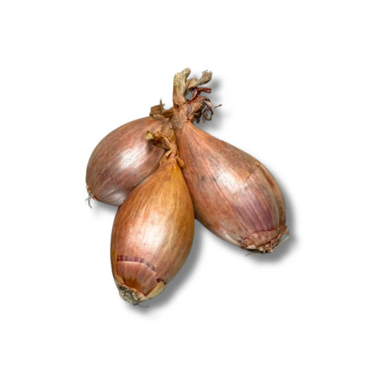 Échalote