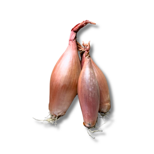 Échalote banane