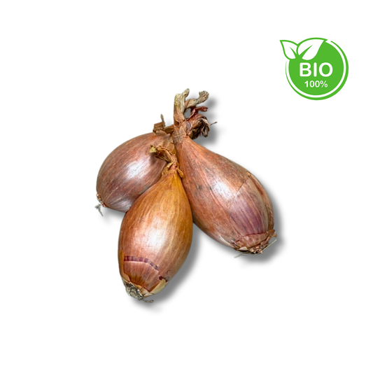 Échalote bio (pièce)