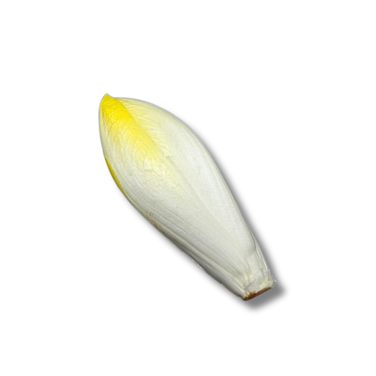 Endive