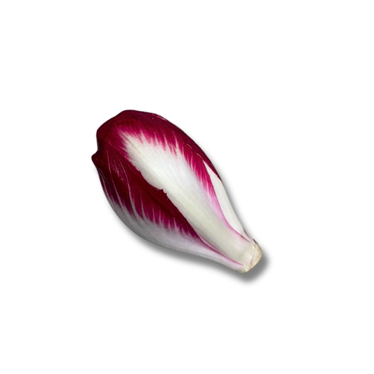 Endive rouge