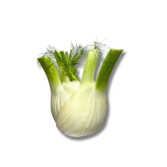 Fenouil