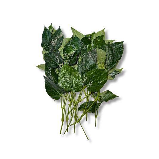 Feuille La Lot