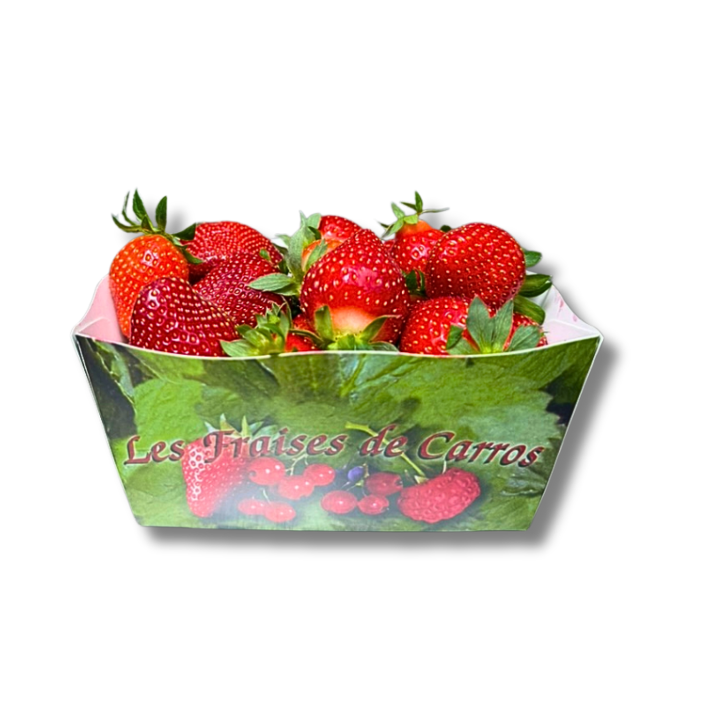 Fraise de Carros