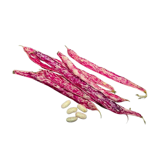 Haricot coco rouge (500g)