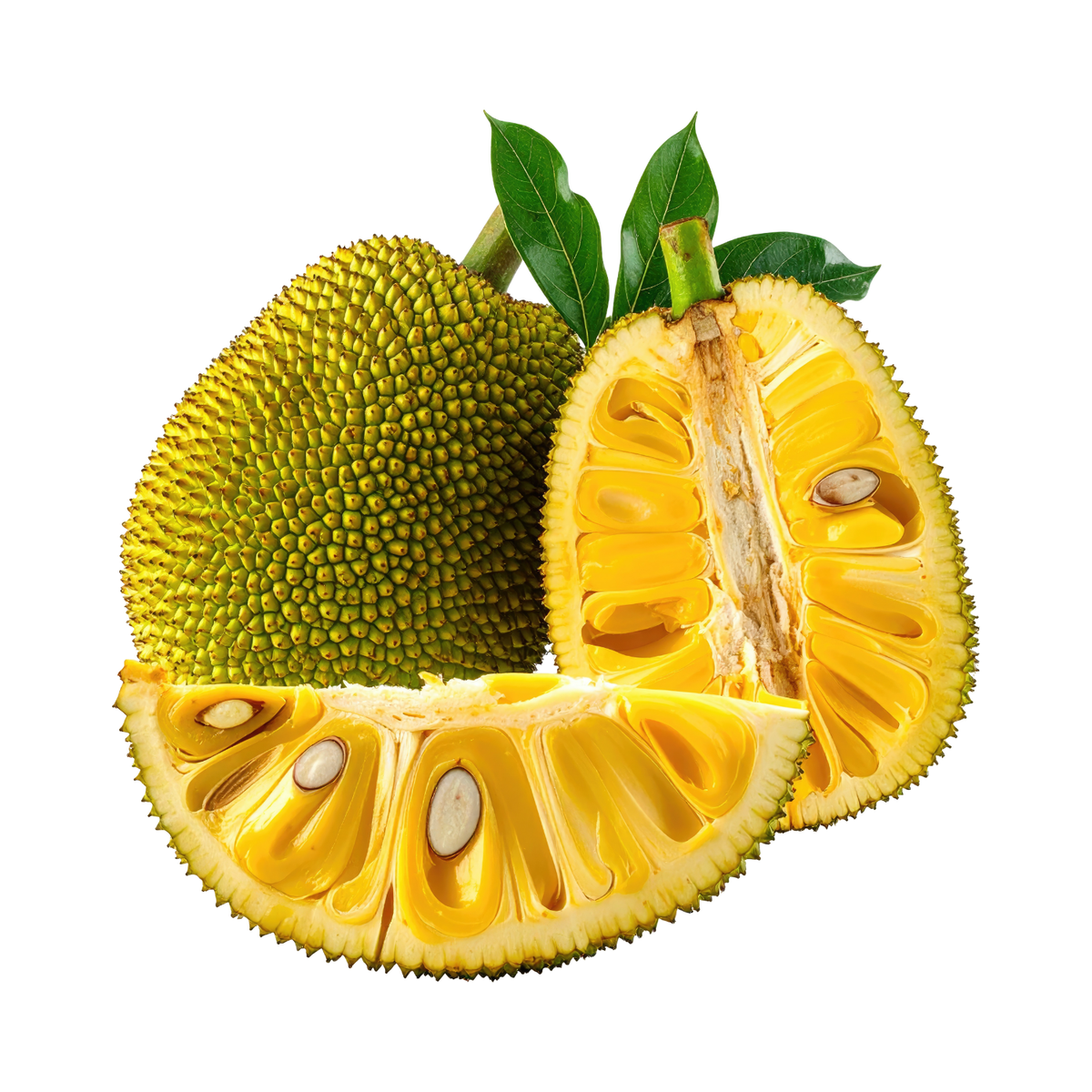 Jackfruit (pièce)
