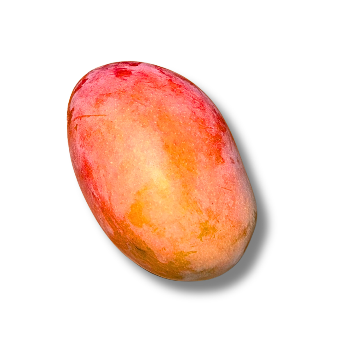 Mangue Osteen (x4)