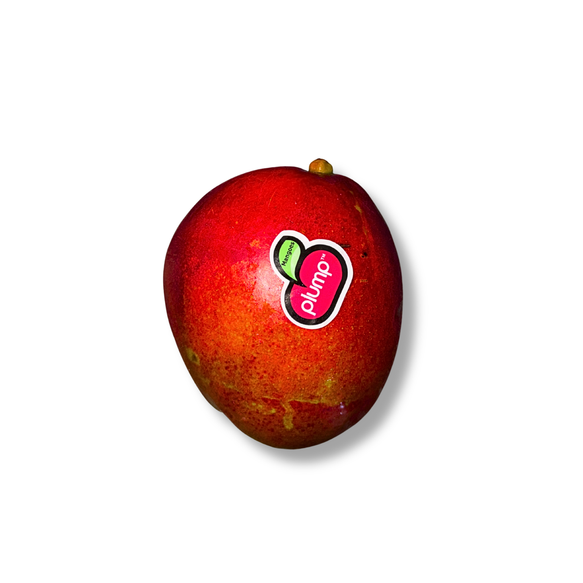 Mangue Tommy Atkins (pièce)