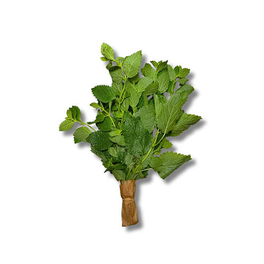 Mélisse