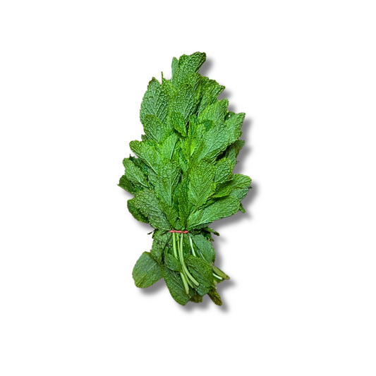 Menthe