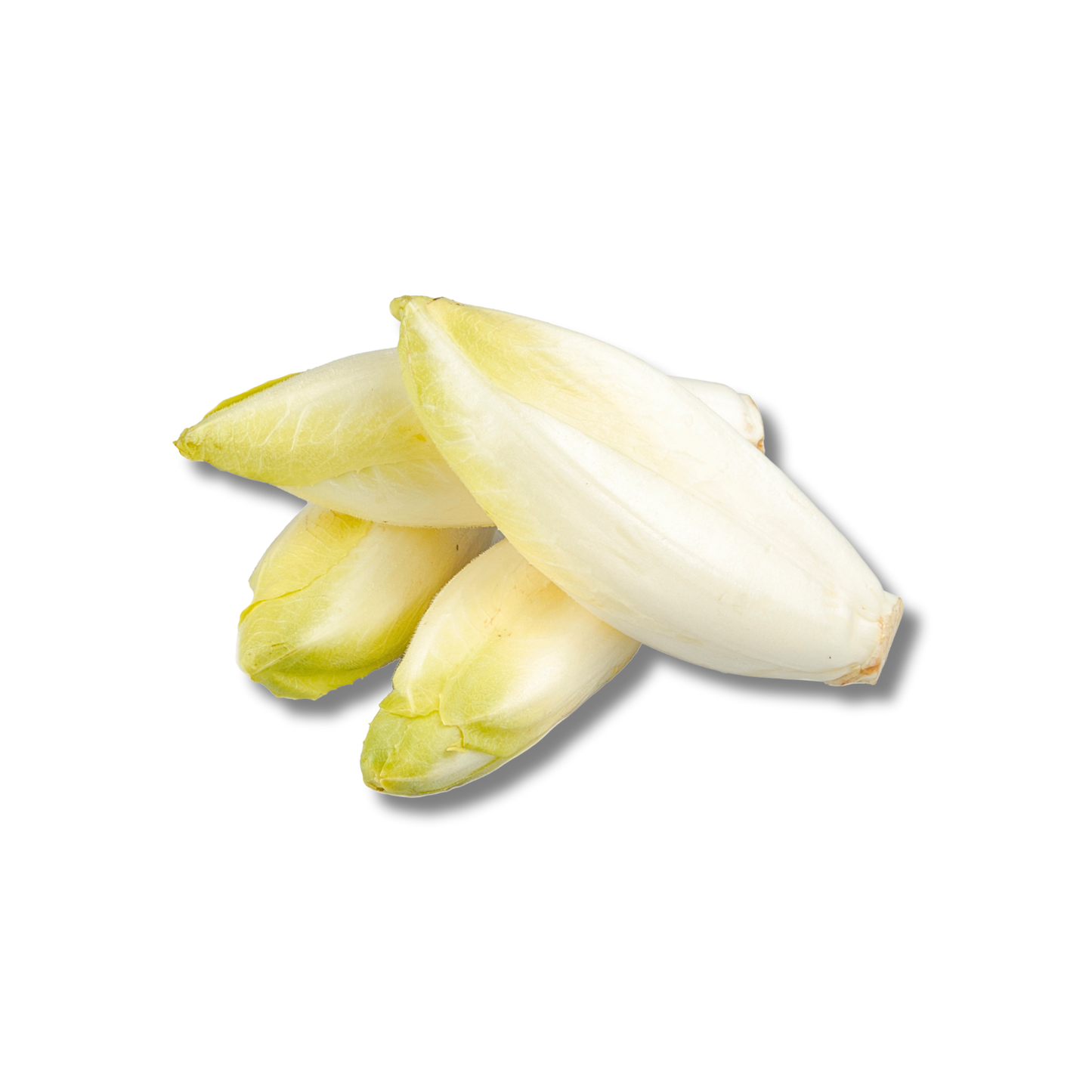 Mini endive (250g)
