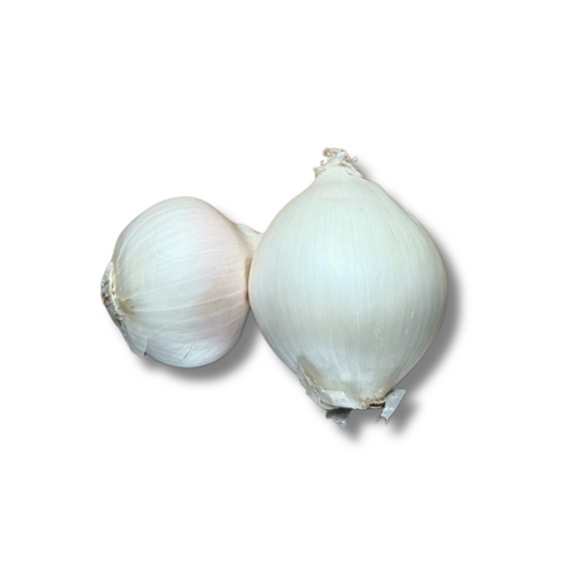 Oignon blanc sec