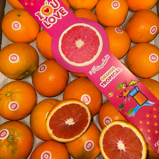 Orange Cara Cara (500g)