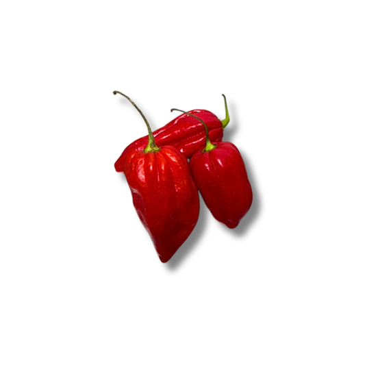 Piment habanero antillais rouge