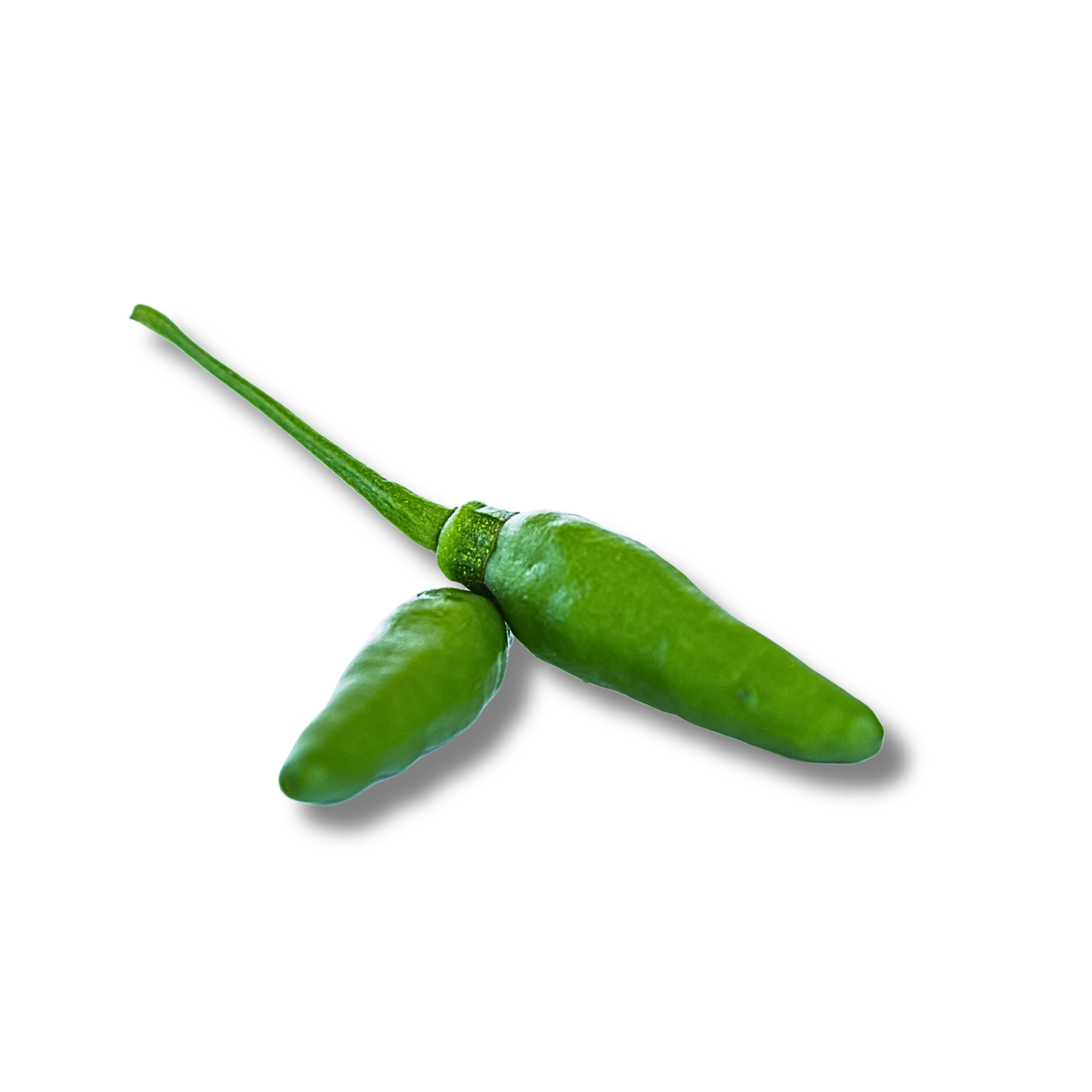 Piment oiseau vert (100g)
