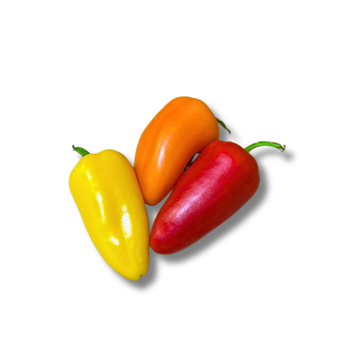 Mini poivron multicolore (500g)