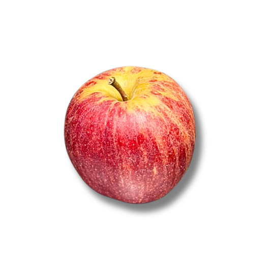 Pomme Gala