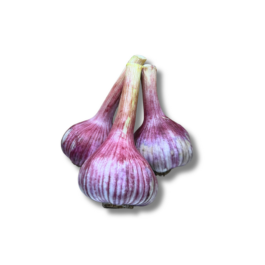 Ail frais