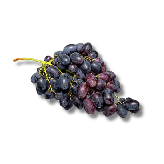 Raisin noir Muscat