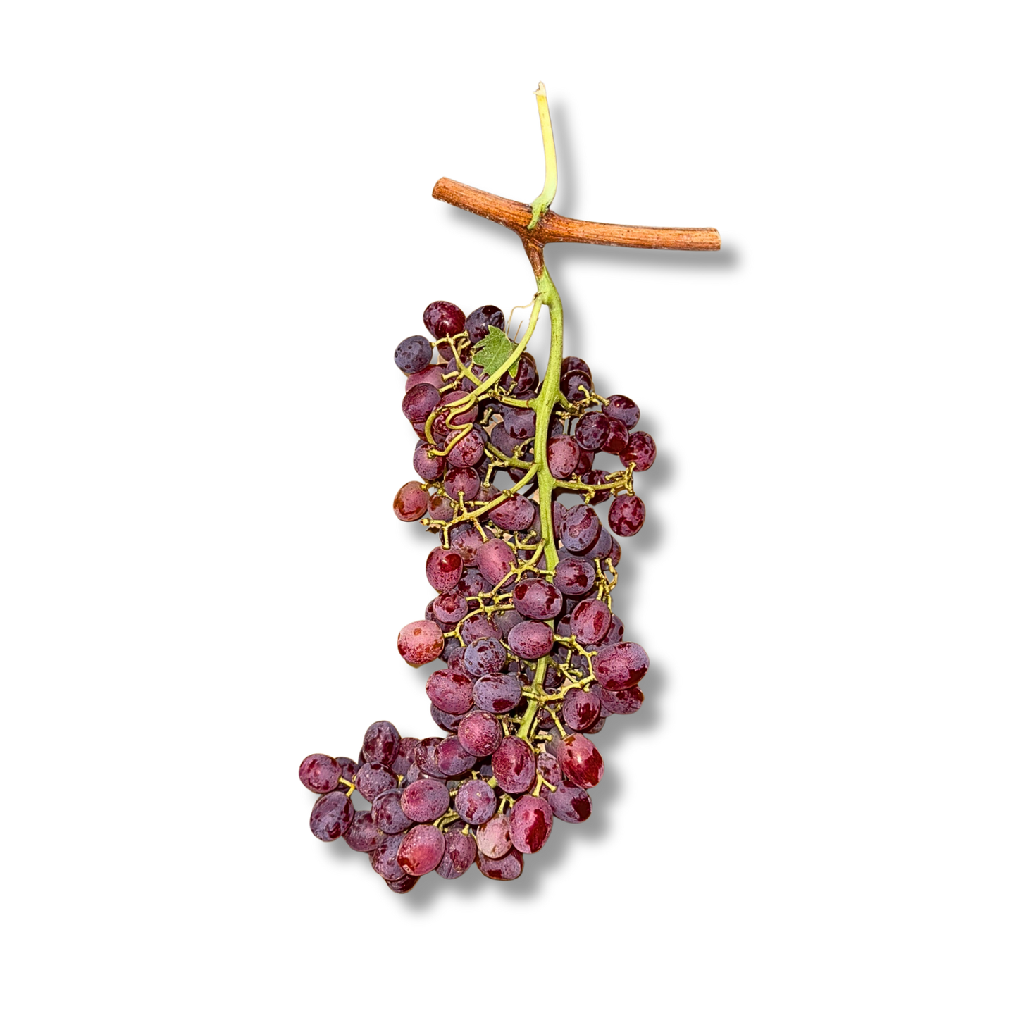 Raisin rose extra sans pépins (500g)