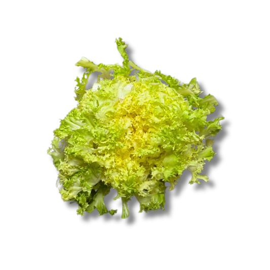 Salade frisée (pièce)