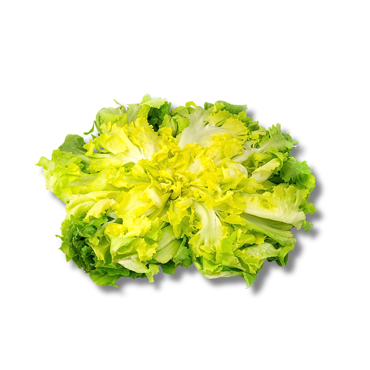 Salade Scarole (pièce)