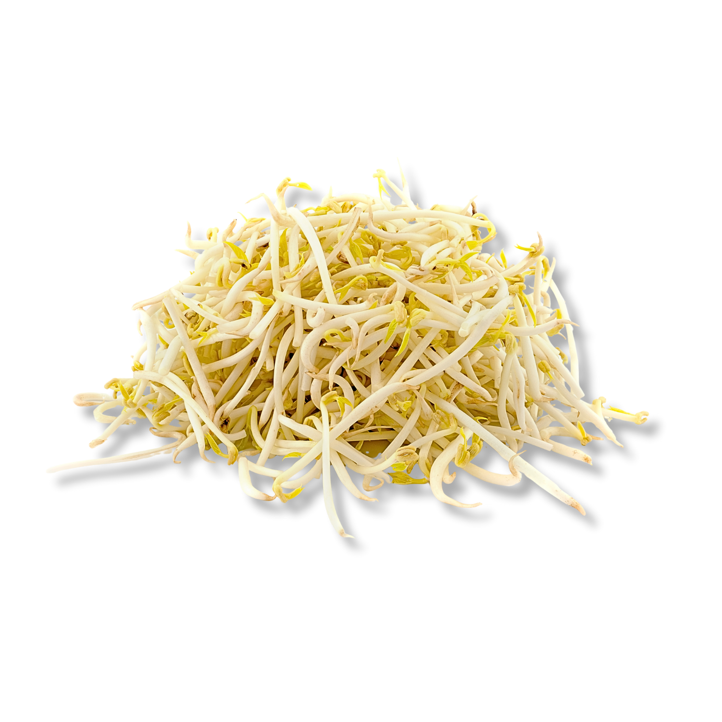 Pousse de soja (500g)