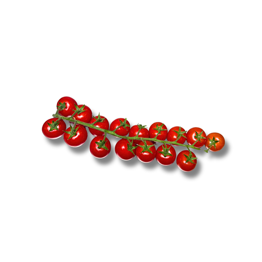 Tomate cerise rouge Jardin de Rabelais
