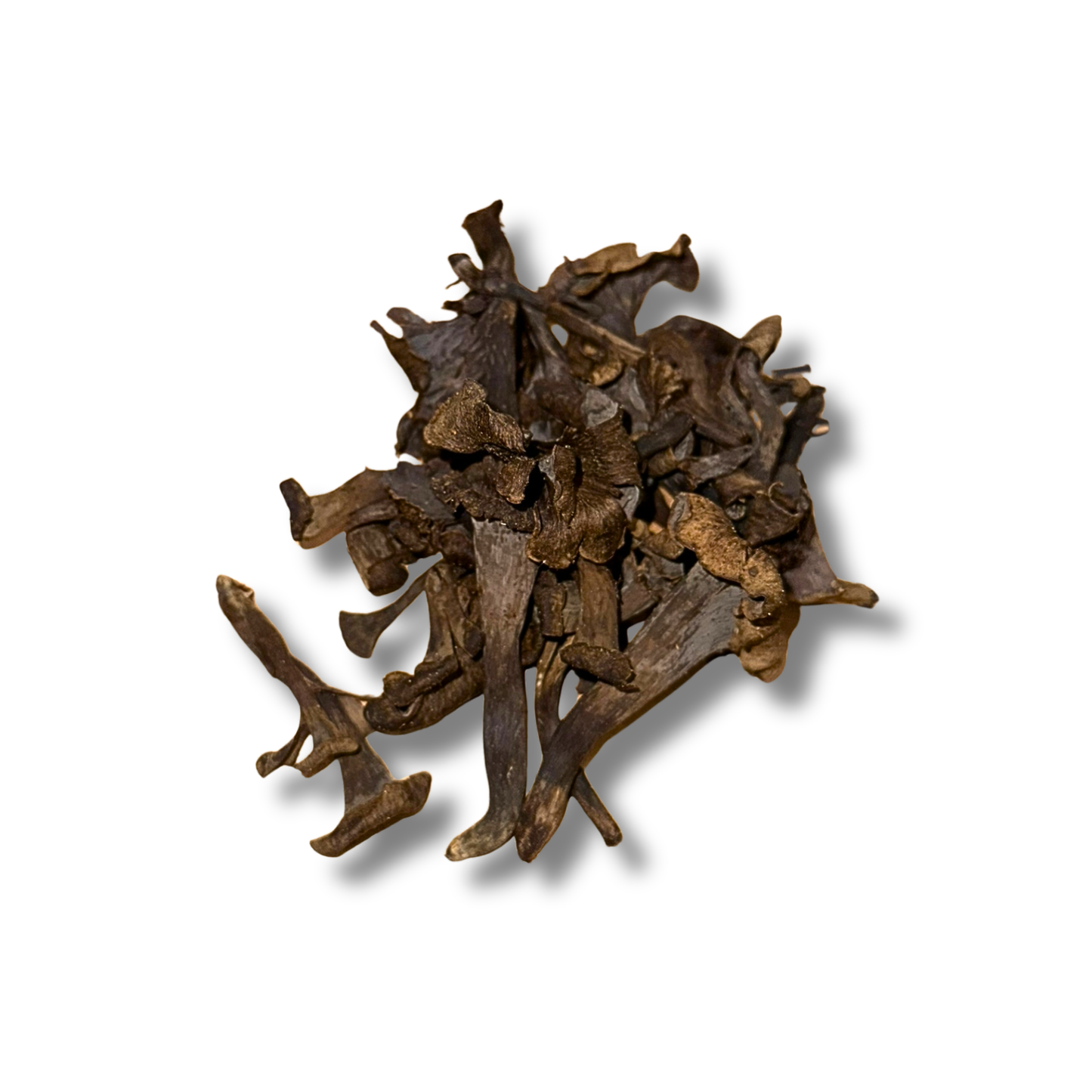 Trompette de la mort  (250g)