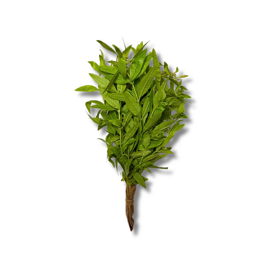 Verveine