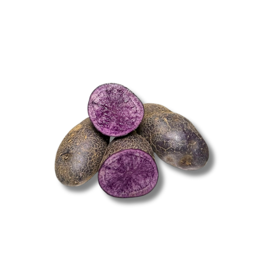 Pomme de terre Vitelotte